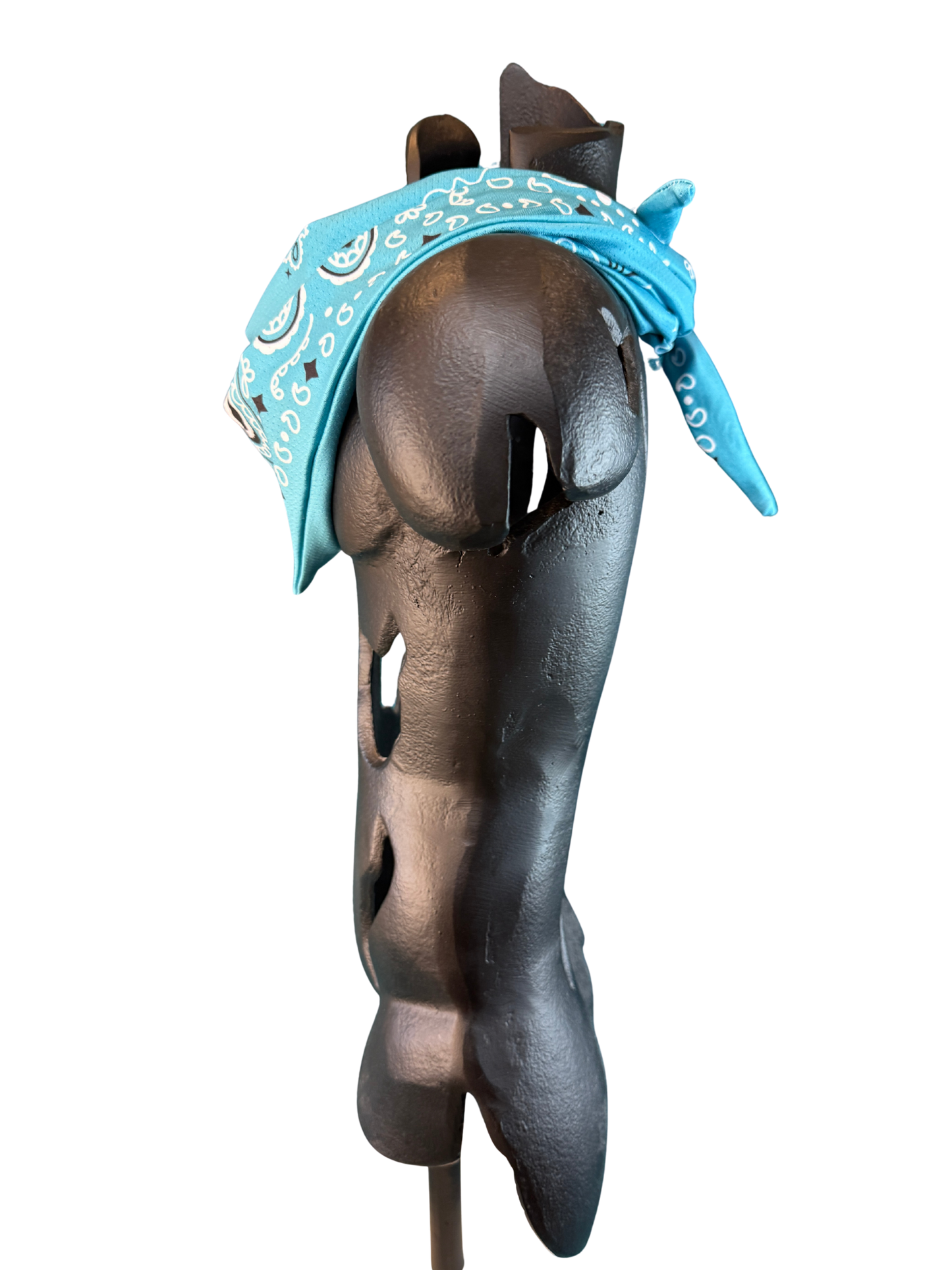 Teal Bandana with Zippered Stash Pocket