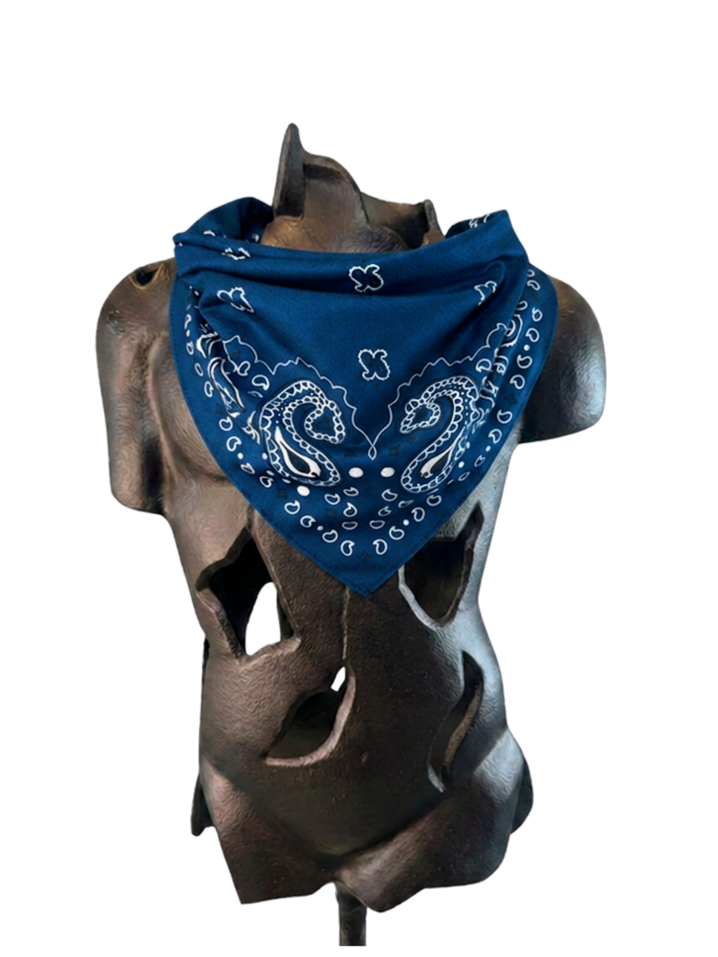 Blue Bandana with Zippered Stash Pocket - Front