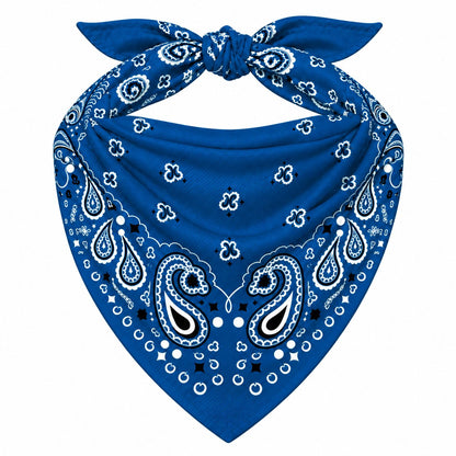 Blue Stash Bandana pocket zipped closed, seam blending into the paisley print
